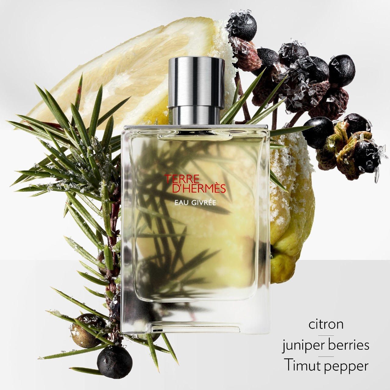 HERMES TERRE D'HERMÈS Eau Givrée 50ml image_2.jpg?v=638812832676200000