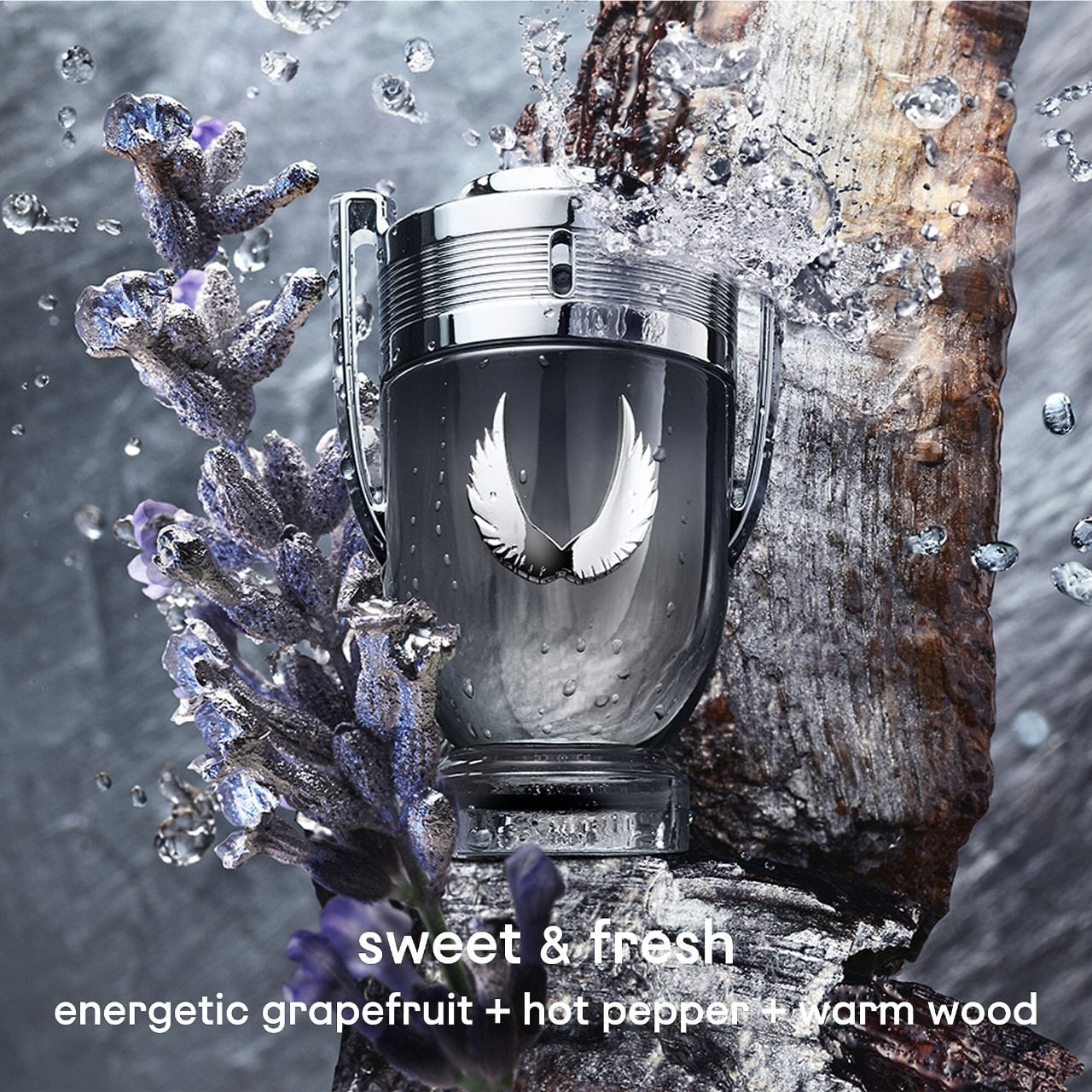 Invictus Platinum Eau De Parfum | Cosmopolitan Shop