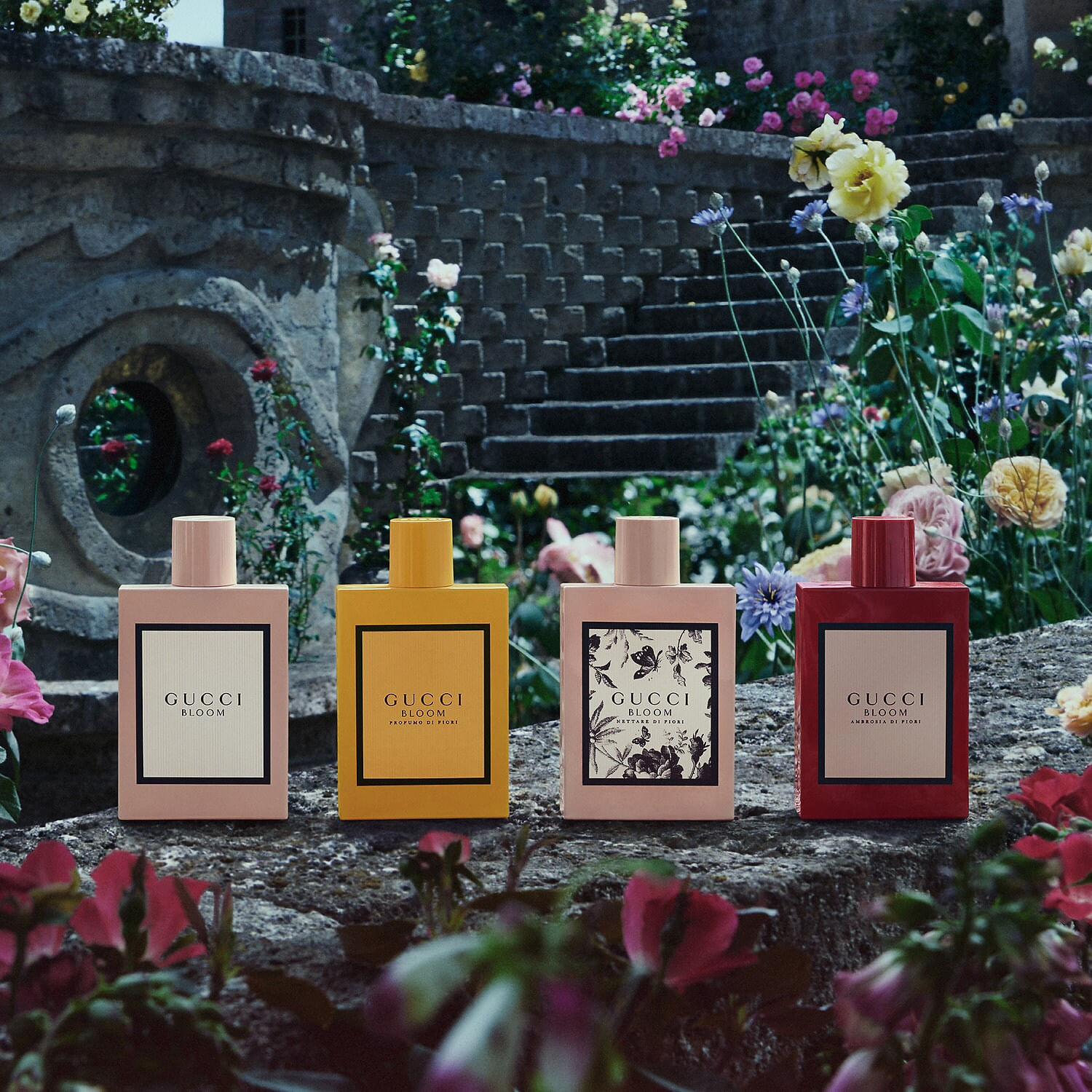Help me choose! Gucci Bloom VS Profumo di fiori : r/FemFragLab