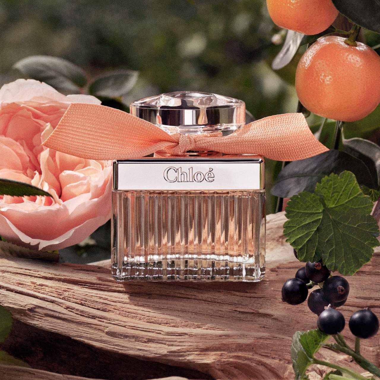 Chloe rose tangerine buy 1.6oz