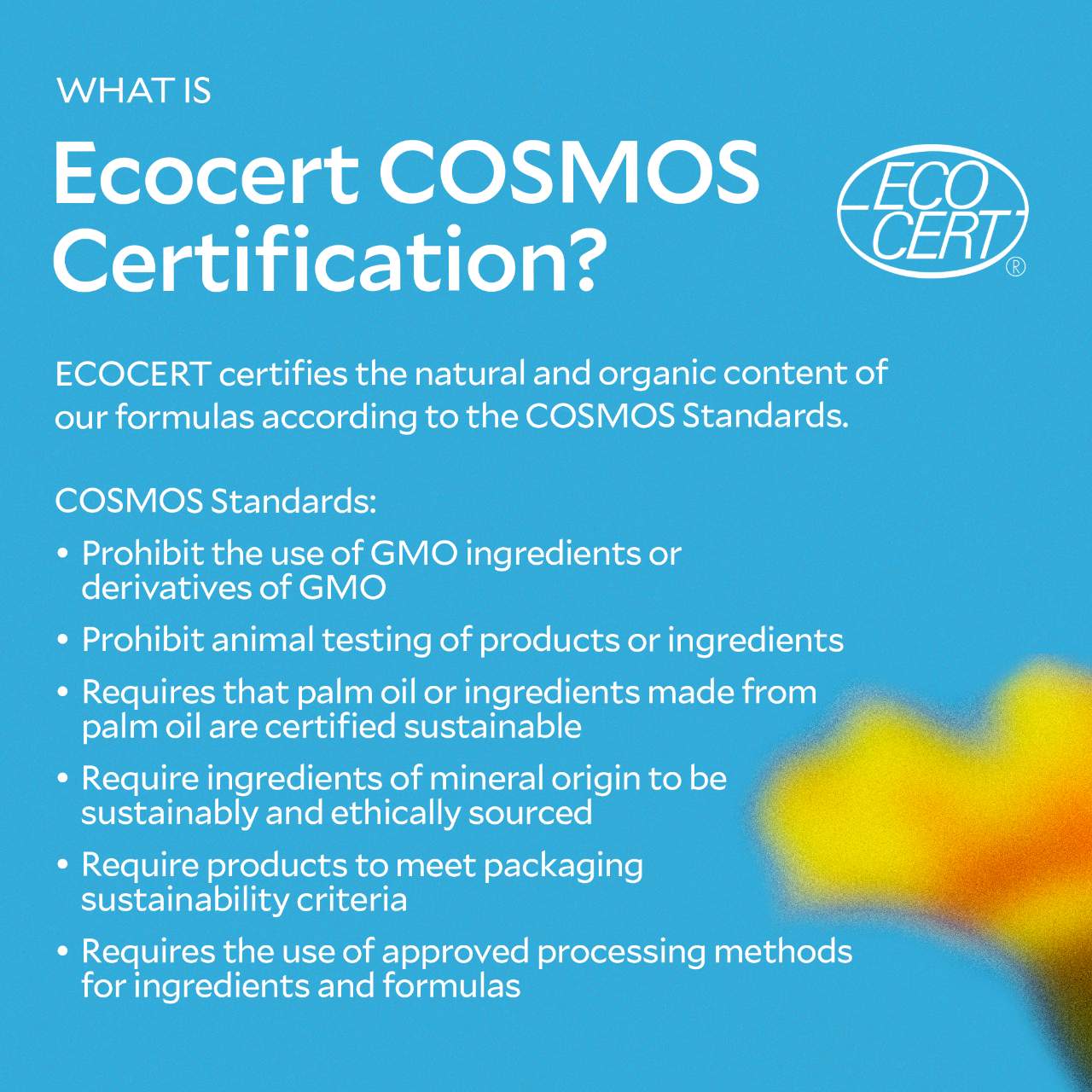 Nourishing Makeup Removing Oil Cleanser With Squalene And Vitamin E