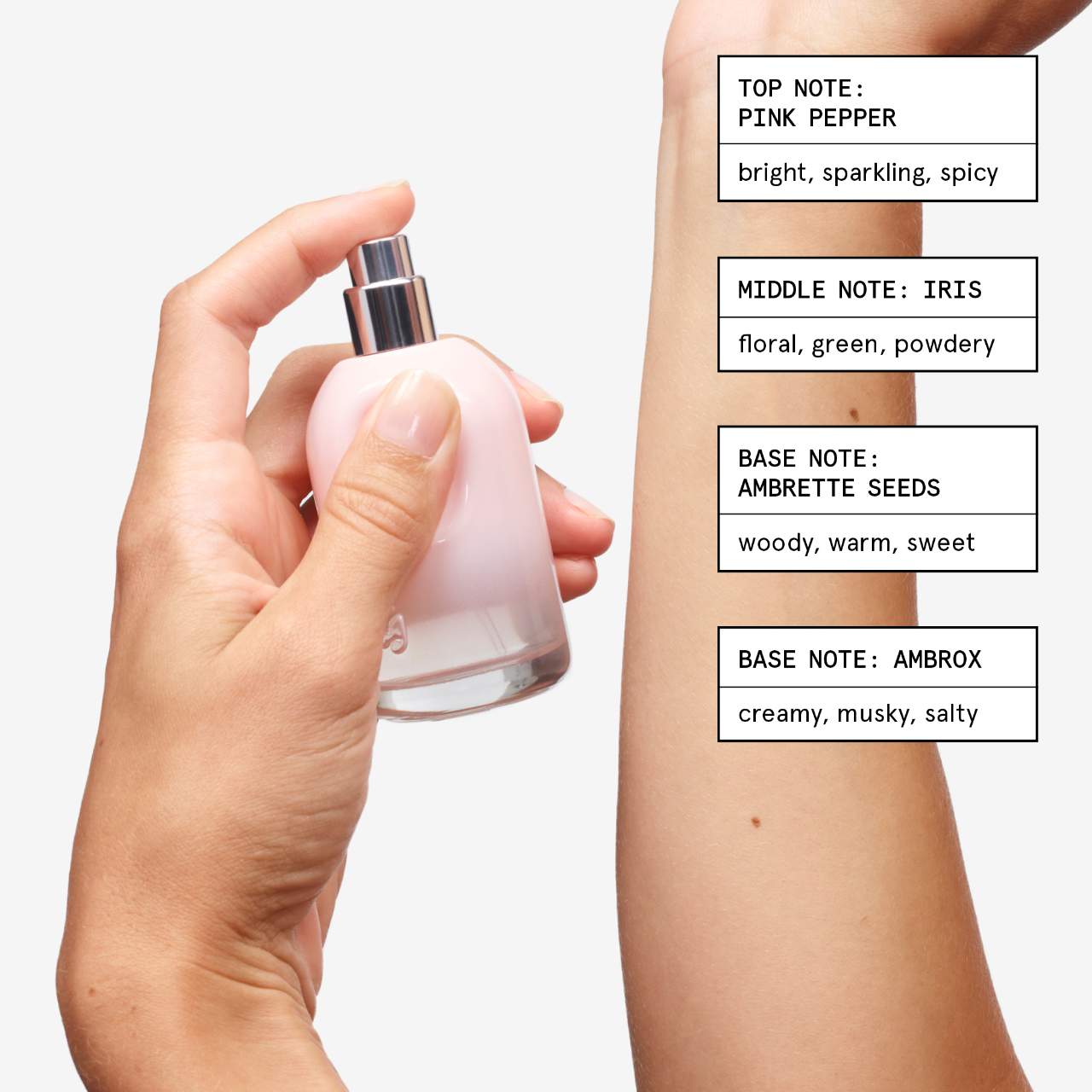 Glossier You Eau De Parfum Set | Cosmopolitan Shop