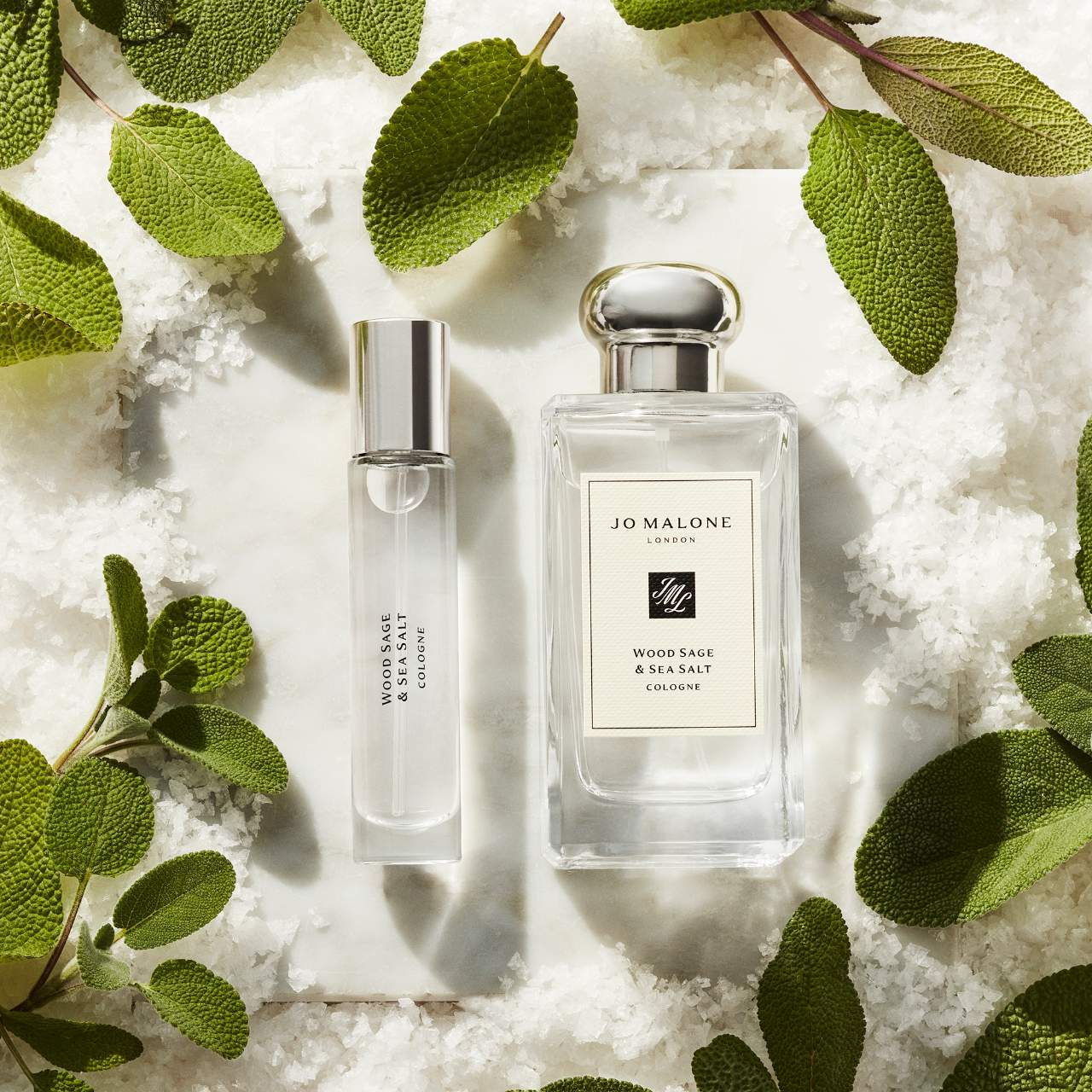 Wood Sage And Sea Salt, A Wood Cologne | Jo Malone London