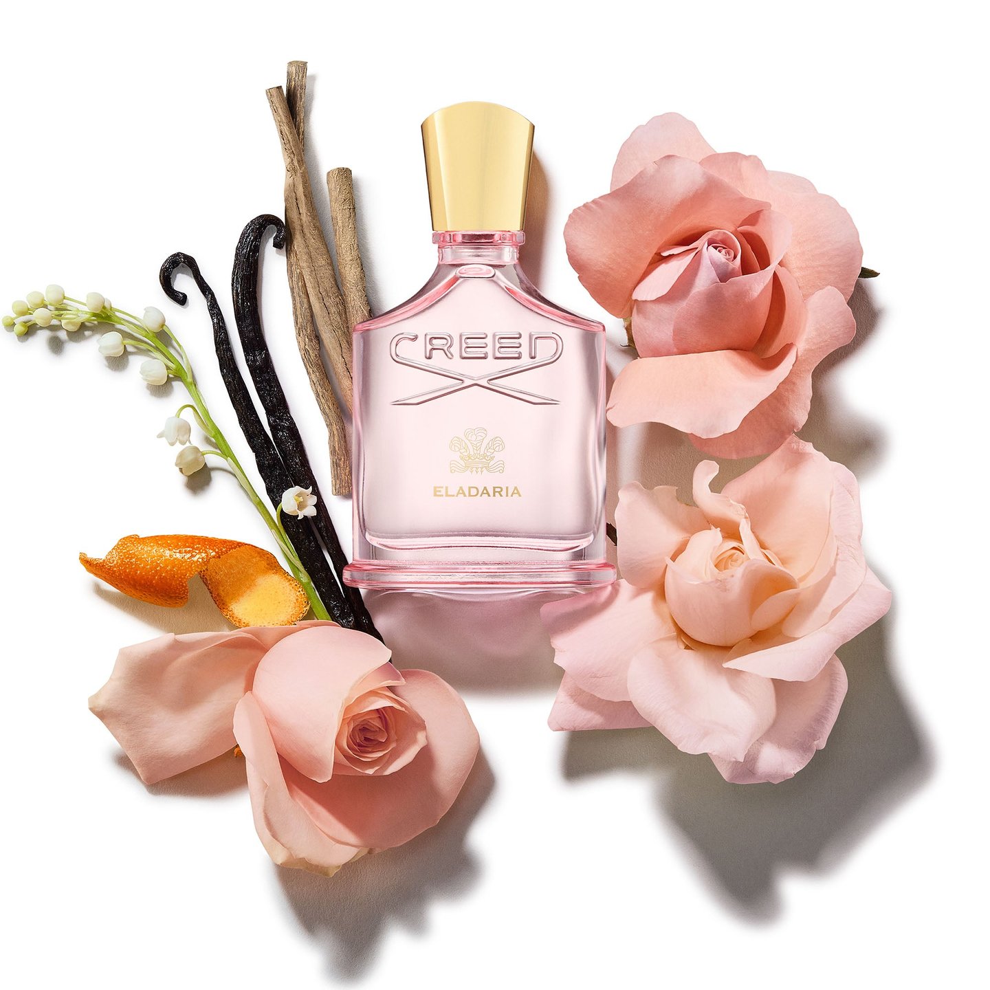 Eladaria | Cosmopolitan Shop