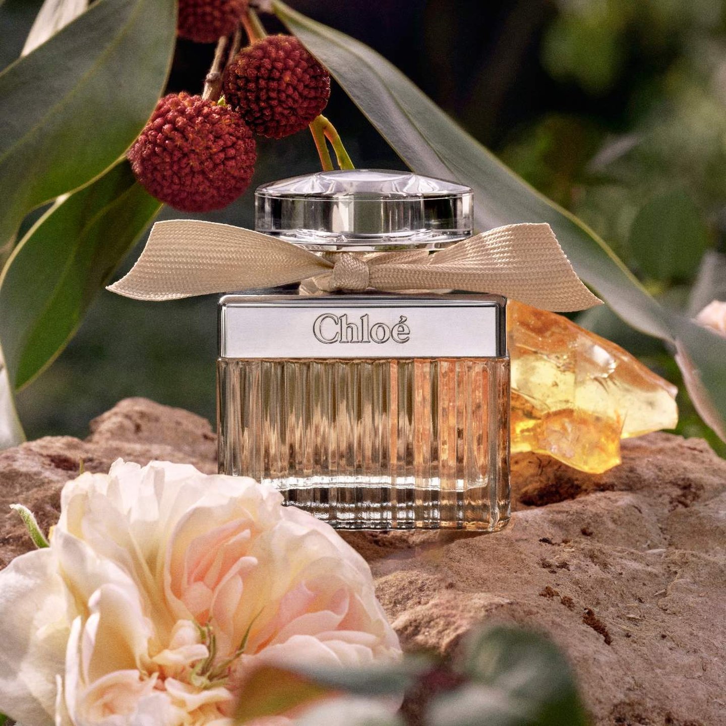 Amazon.com : Chloe for Women 3 Piece Hard Box Set, 6.07