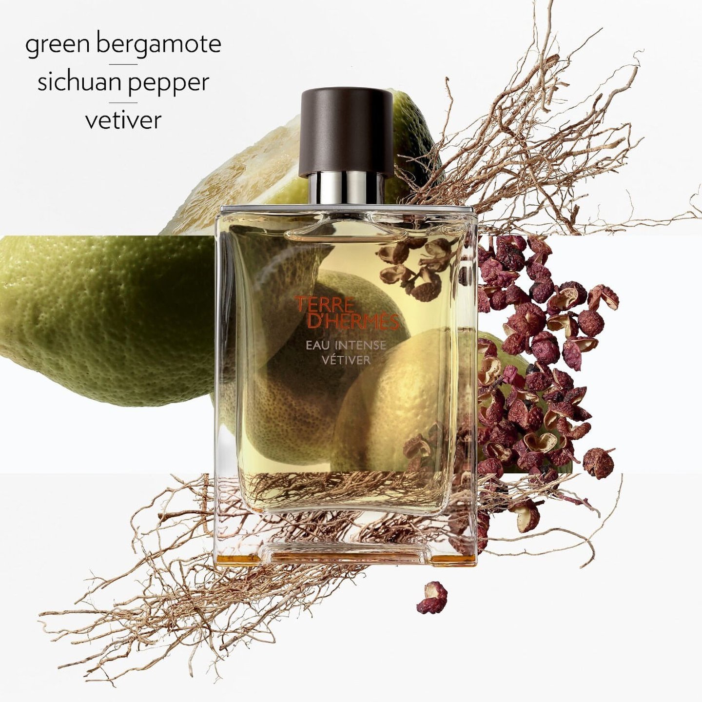【名入れ無料】 Eau D'hermès Terre Intense Parfum De Eau Vétiver 香水(男性用)