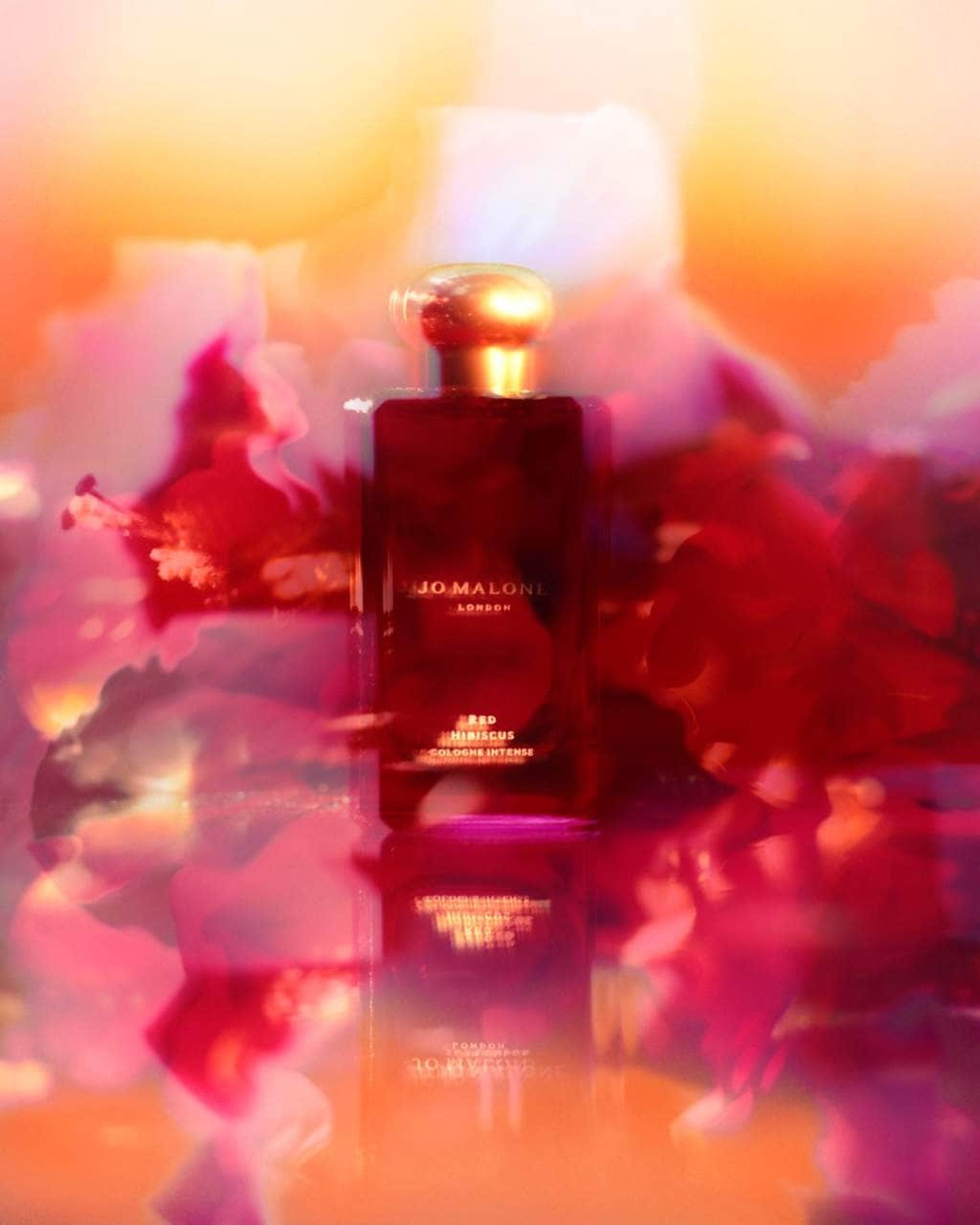 Red Hibiscus Cologne Intense | Cosmopolitan Shop