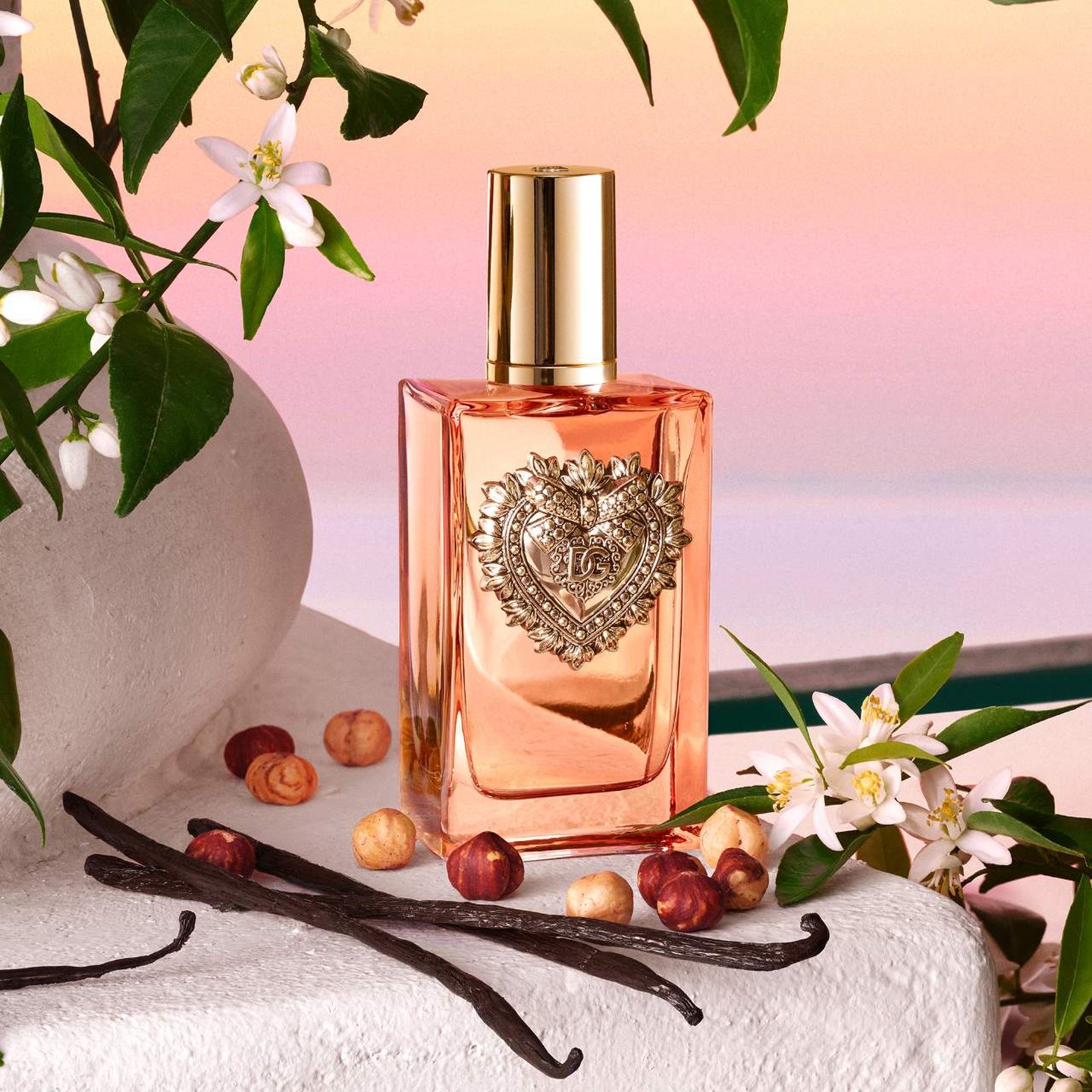 Devotion Eau De Parfum Intense | Cosmopolitan Shop