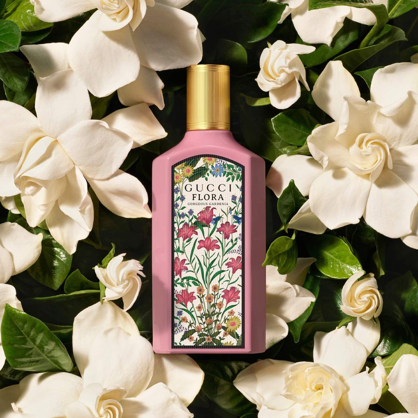 Amazon.com : Gucci Gucci Flora Gorgeous Gardenia Eau De