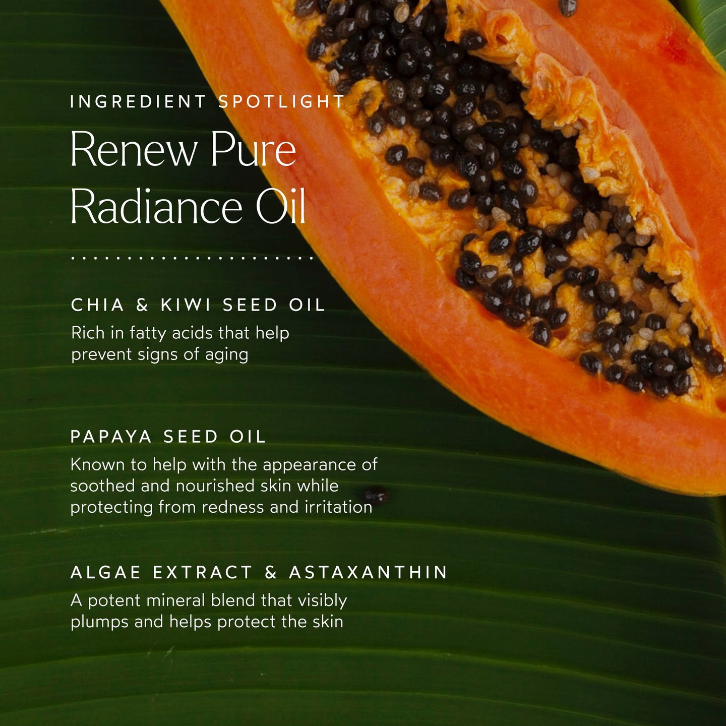 revi ルヴィ REVISOME Luxury Oil 120ml fit=scale-down,w=1200