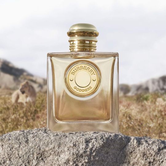 バーバリーゴッデス オードパルファム フォー ウィメン 100mL